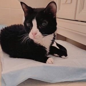 Meet your Posher, Ashleigh